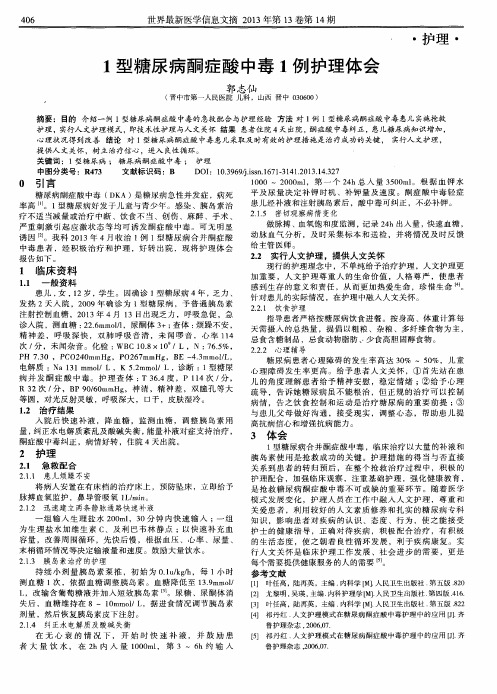 1型糖尿病酮症酸中毒1例护理体会