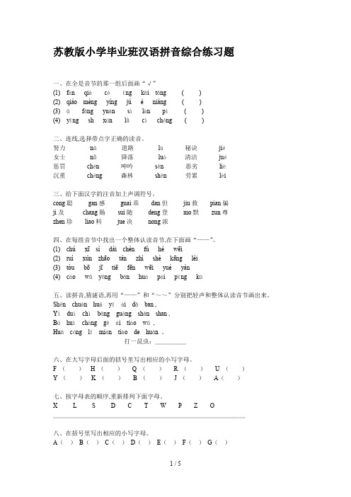 苏教版小学毕业班汉语拼音综合练习题