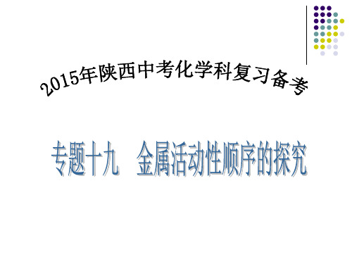 专题十九---金属活动性顺序的探究