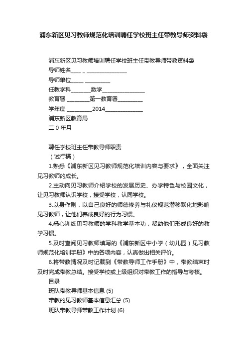 浦东新区见习教师规范化培训聘任学校班主任带教导师资料袋