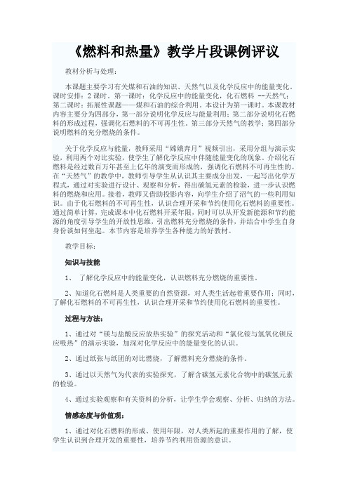 初中化学  《燃料和热量》教学片段课例评议