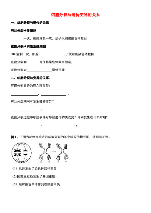北京市高考生物总复习遗传与进化——遗传的细胞学基础细胞分裂与遗传变异的关系学案(无答案)