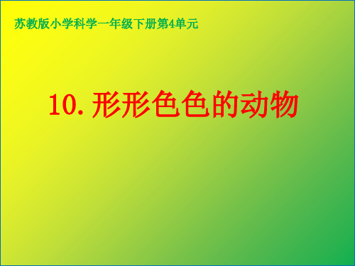 一级下册科学课件-《 形形色色的动物》 苏教版