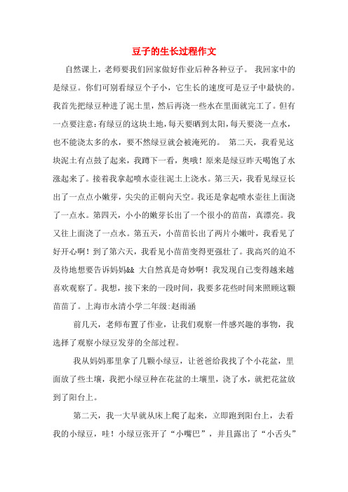 豆子的生长过程作文