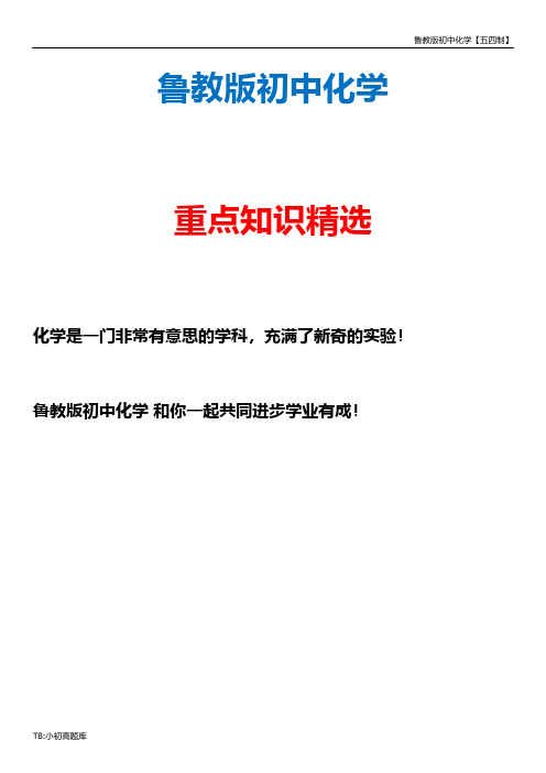 鲁教版初中化学五四制九年级全册《8.1 酸及其性质》教案 (1)