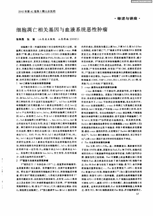 细胞凋亡相关基因与血液系统恶性肿瘤