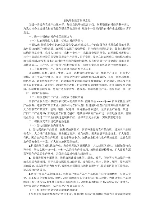 农民增收致富指导意见