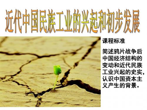 近代中国民族工业的兴起和初步发展ppt 人民版