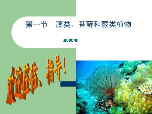 藻类、苔藓和蕨类植物人教版七年级上第三单元第一章第一节