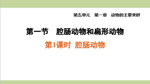 人教版八年级上册生物 1.1.1 腔肠动物 课后习题重点练习课件