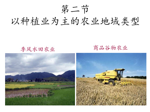 种植业为主的农业地域类型PPT课件