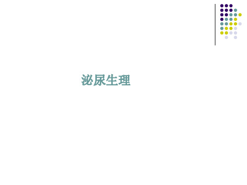 宠物-泌尿生理
