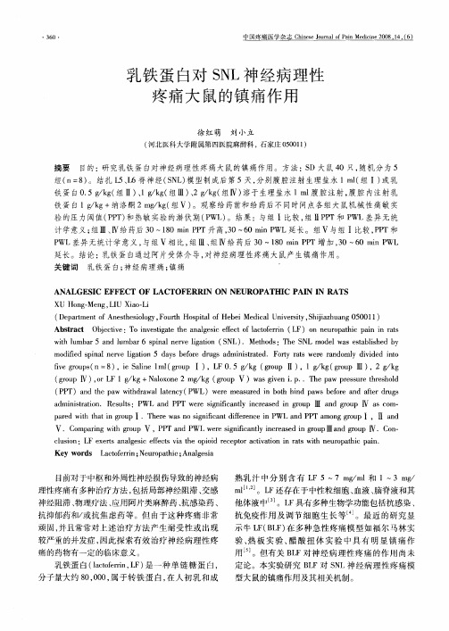 乳铁蛋白对SNL神经病理性疼痛大鼠的镇痛作用
