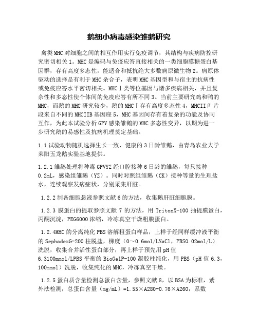 鹅细小病毒感染雏鹅研究