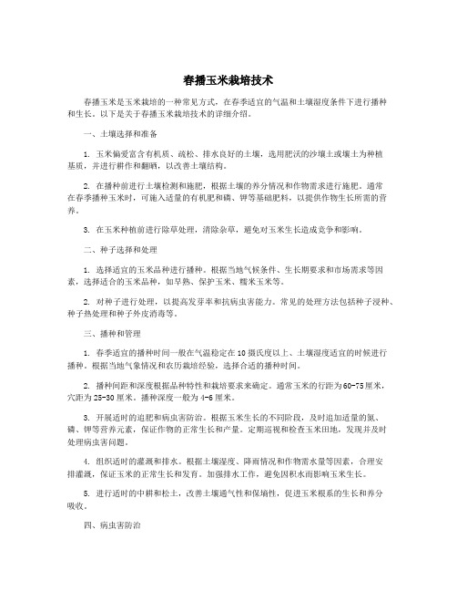 春播玉米栽培技术