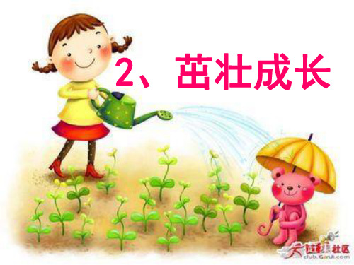 茁壮成长