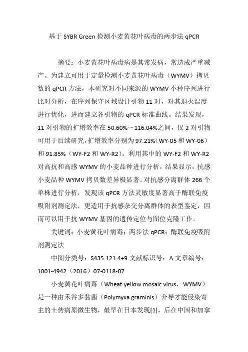 基于SYBR Green检测小麦黄花叶病毒的两步法qPCR