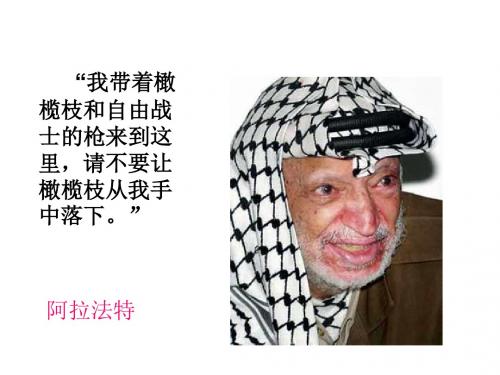 中东问题的由来与发展优秀课件1