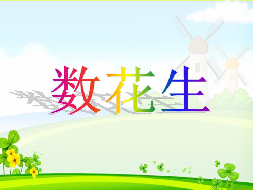《数花生》3精品PPT课件