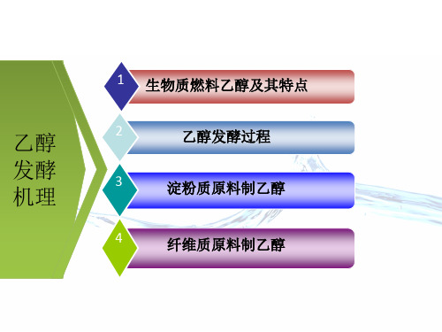 生物质燃料乙醇发酵技术PPT.ppt