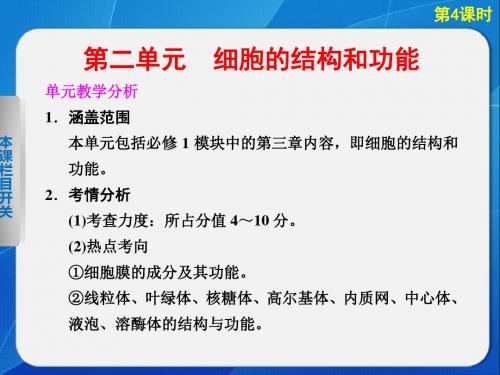 【步步高】2013高考生物一轮复习 第二单元 第4课时课件