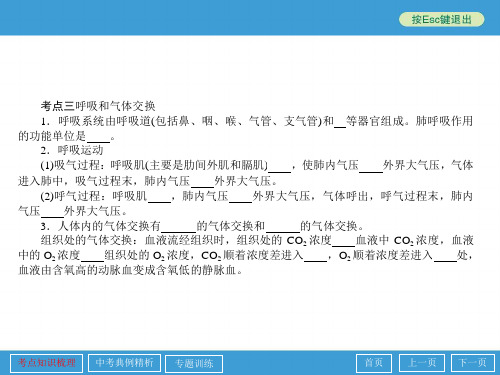 中考复习专题动物的新陈代谢共30页