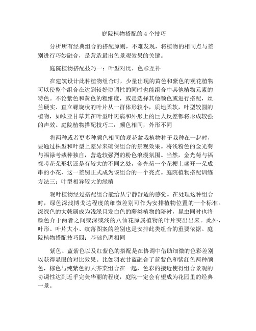 庭院植物搭配的4个技巧