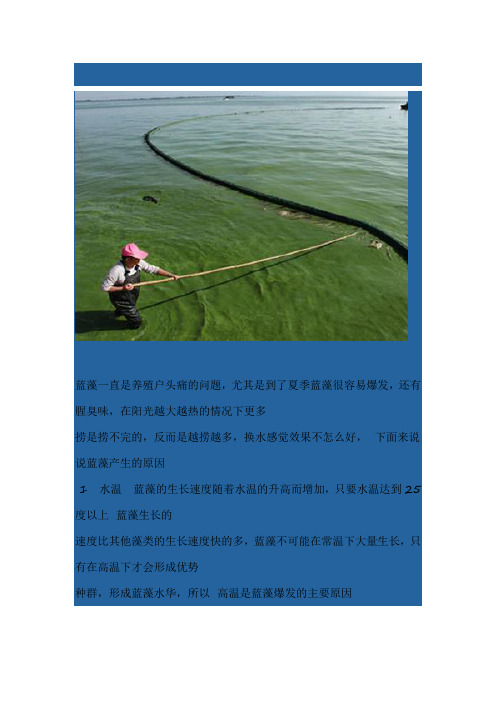 蓝藻的产生原因以及处理方法