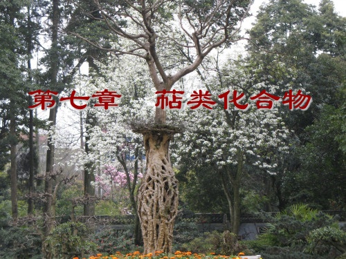 天然产物化学课件第七章萜类
