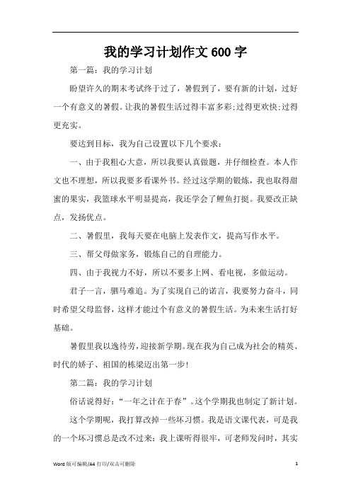 我的学习计划作文600字(精编版)
