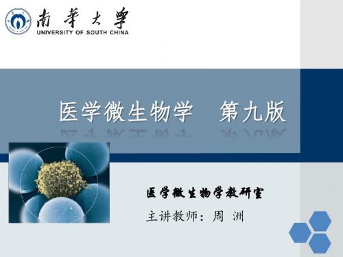 病毒学-微生物学-第30章 出血热病毒