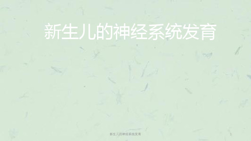 新生儿的神经系统发育课件