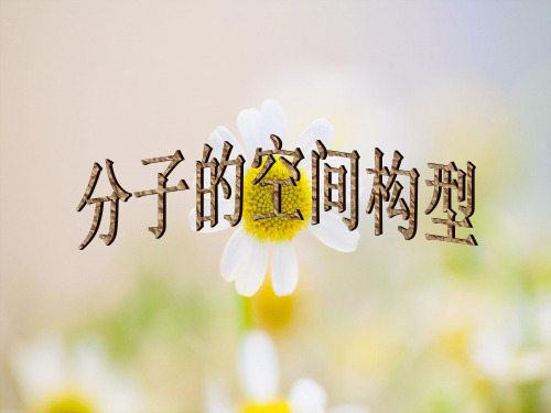 分子的空间构型PPT教学课件