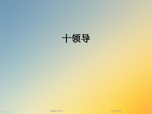 十领导[1]
