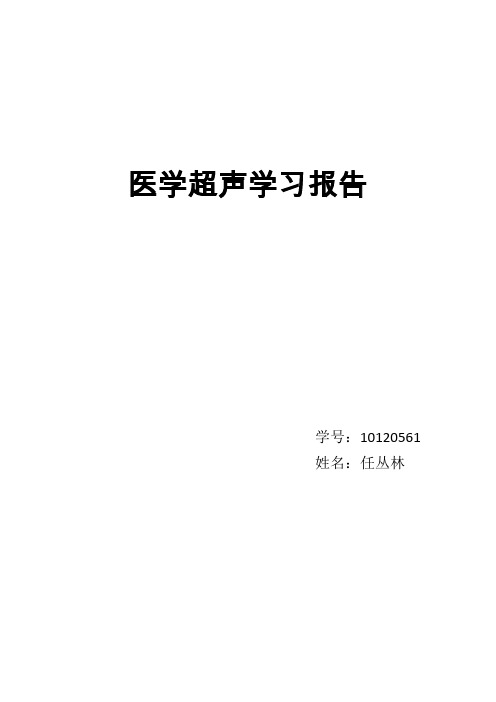 医学超声论文