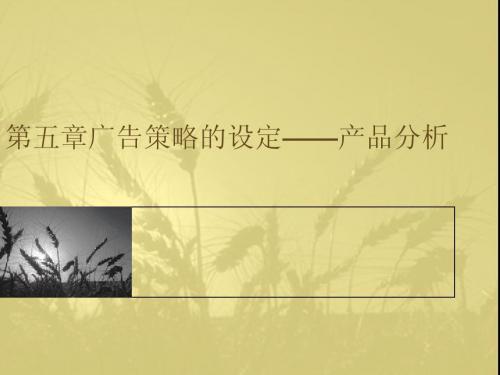 第五章广告策略的设定产品分析.ppt