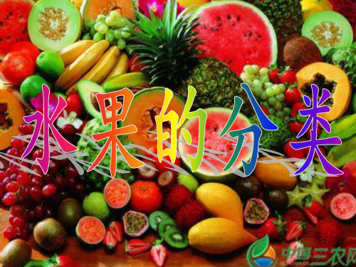 《水果分类》PPT