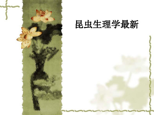 昆虫生理学最新ppt课件