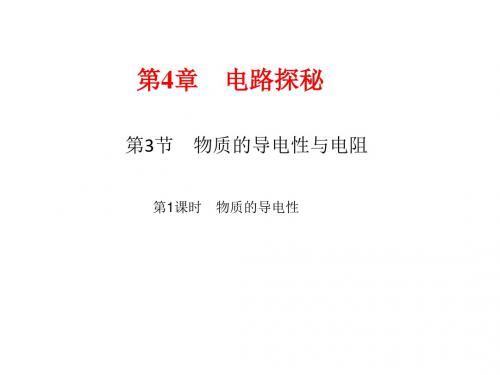 新浙教版科学八年级上册课件：物质的导电性