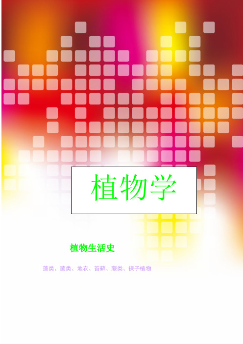 蓝藻生活史