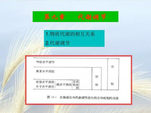 高考生物重难点剖析2：第九章 代谢调节(共35张PPT)