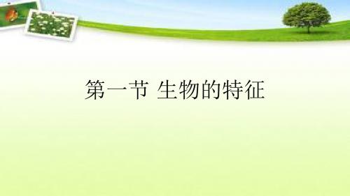 七年级上册第一节生物特征