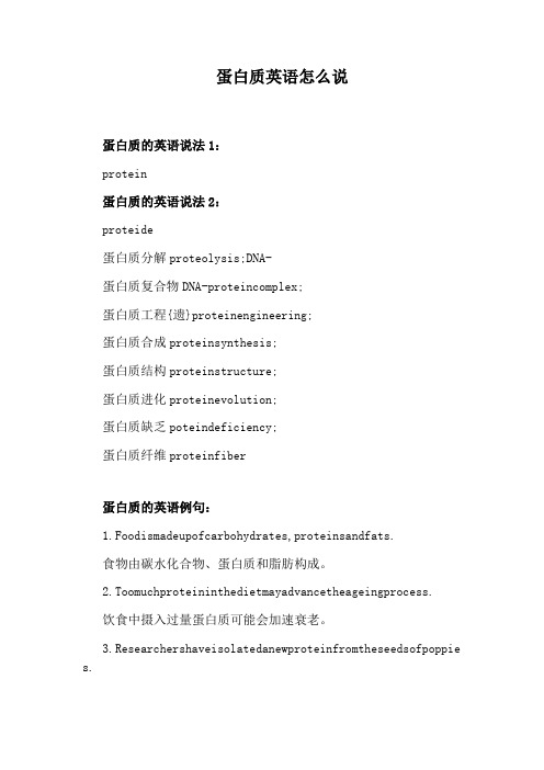 蛋白质英语怎么说