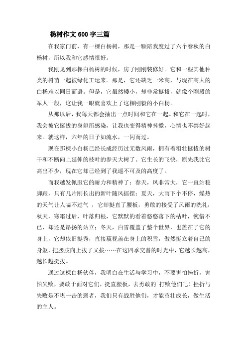 杨树作文600字三篇精选