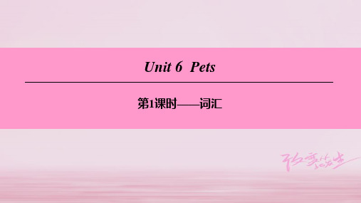 八年级英语下册Unit6Pets(第1课时)词汇课件牛津版