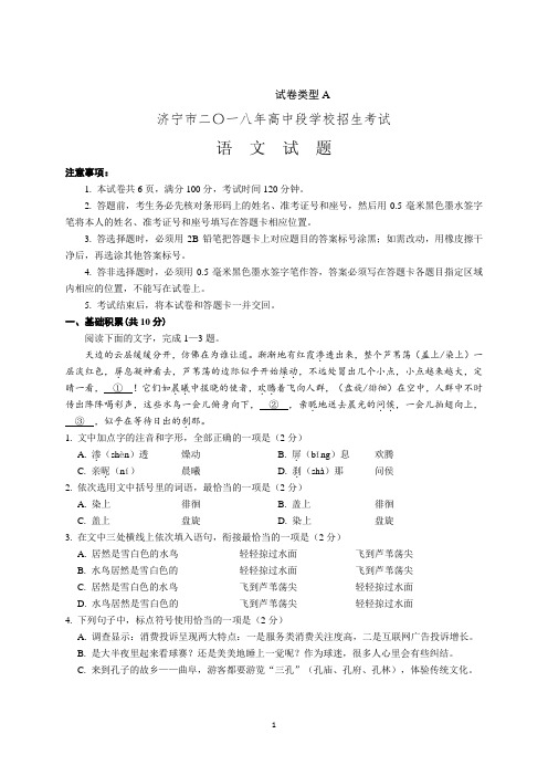 山东济宁2018中考语文(word版-含参考答案)