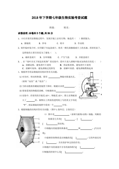 2018年七年级生物实验考核试题