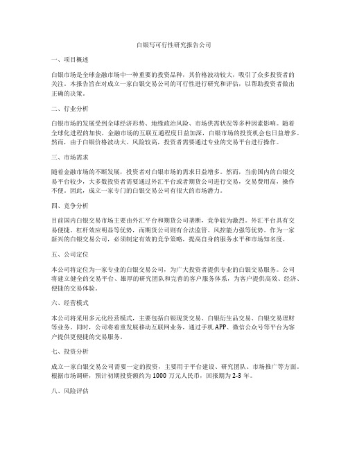 白银写可行性研究报告公司