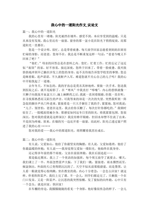 我心中的一道阳光作文_议论文