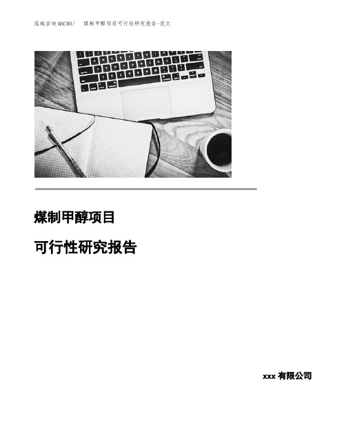 煤制甲醇项目可行性研究报告-范文